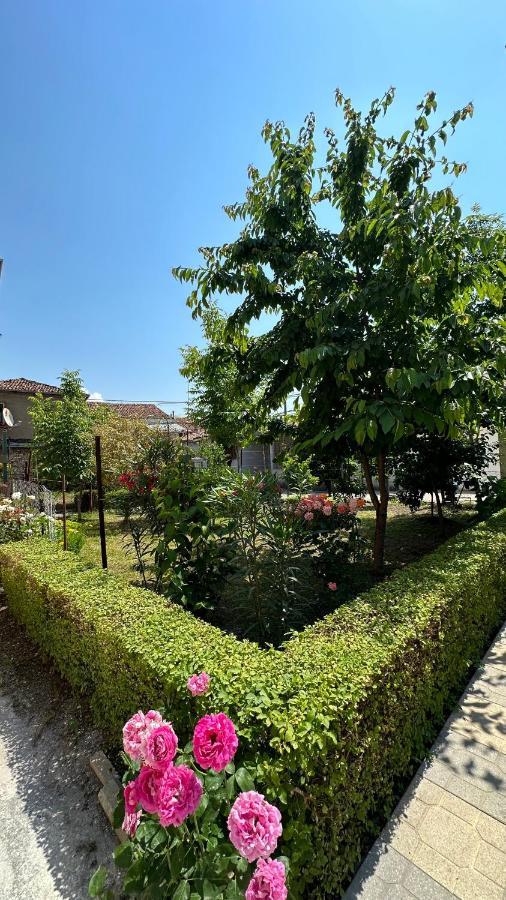 Js House Shkoder 2アパートメント エクステリア 写真